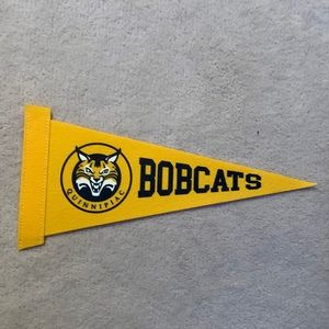 *BRAND NEW* Quinnipiac Bobcats Pennet